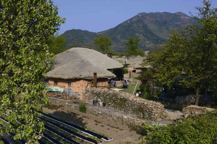 전경