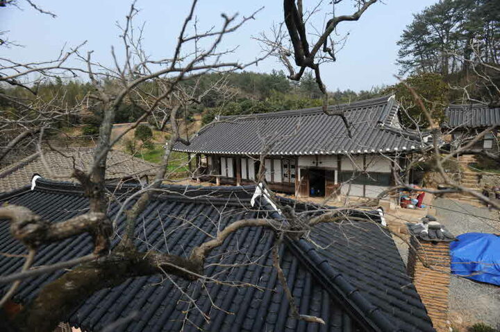 전경