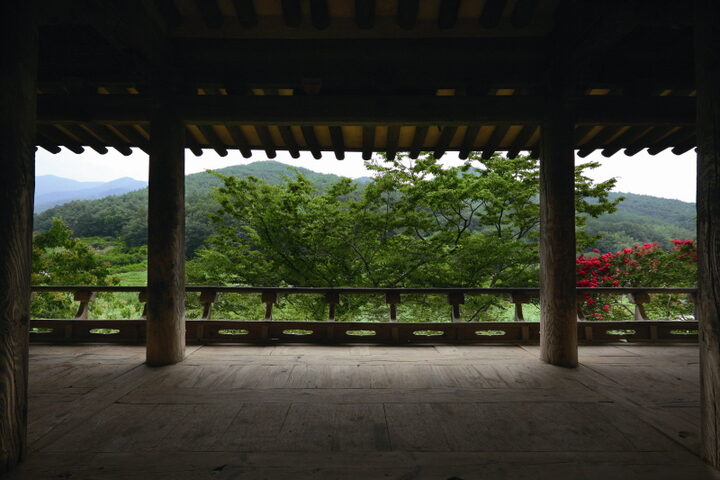 산수정에서 내다본 전경