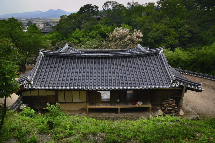 뒷동산에서 내려다본 풍경