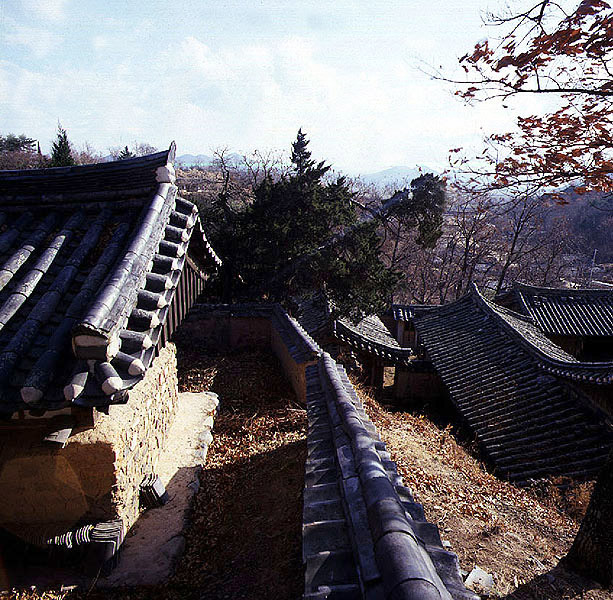 전경