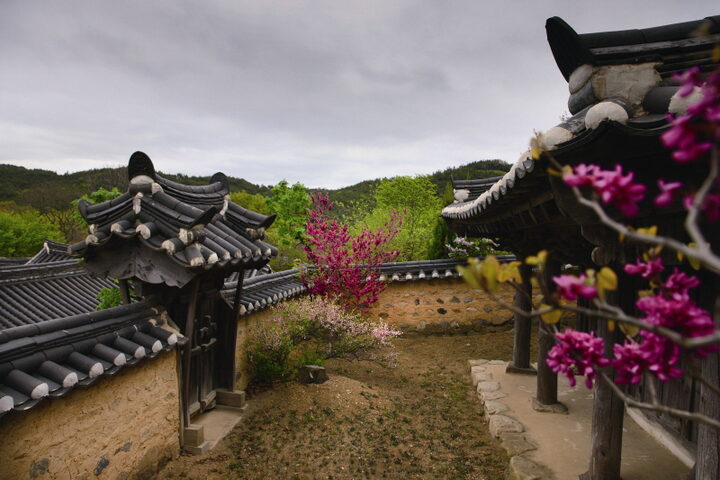사당