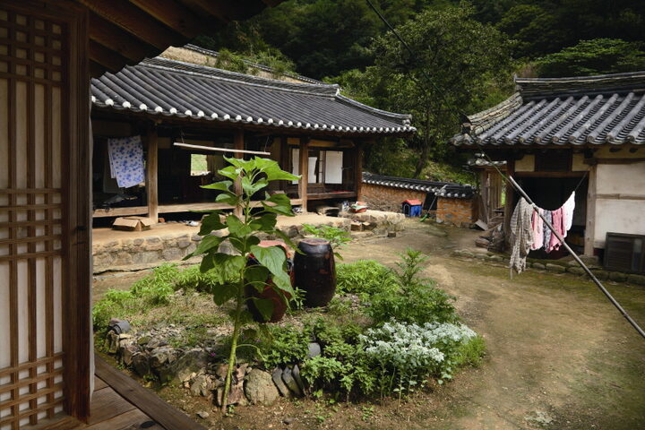 안마당