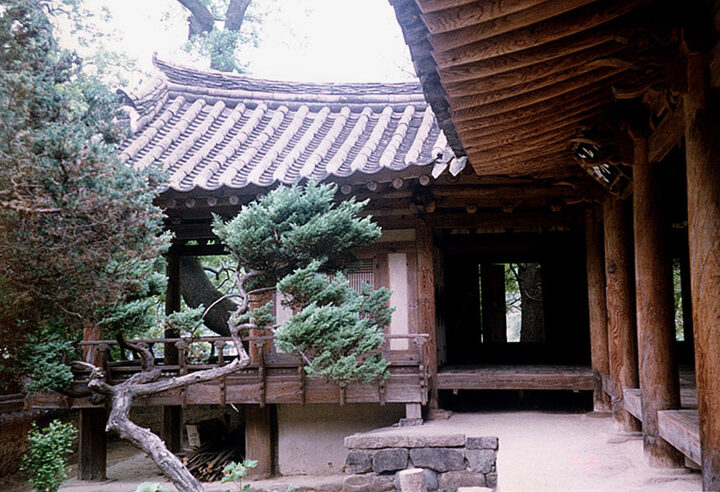 좌익사