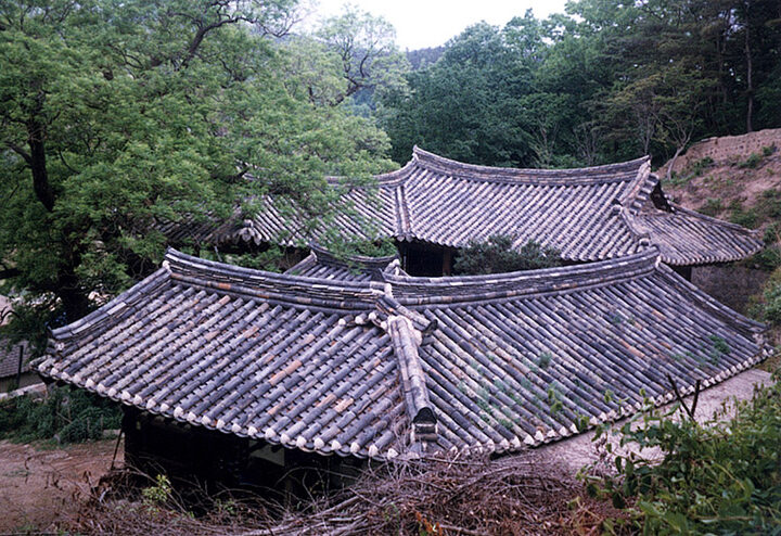 양동심수정