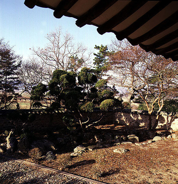 정원