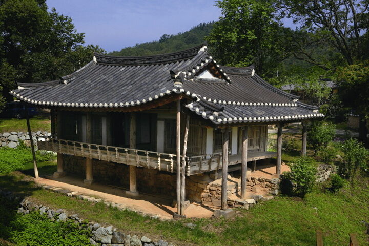 연정