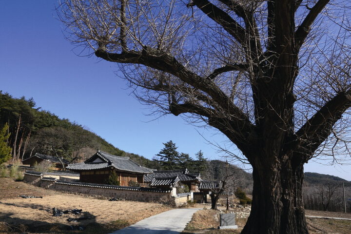 전경