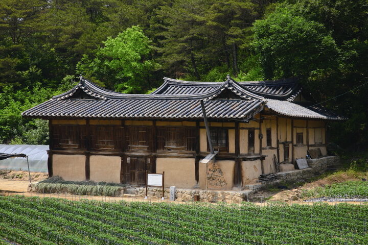 전경