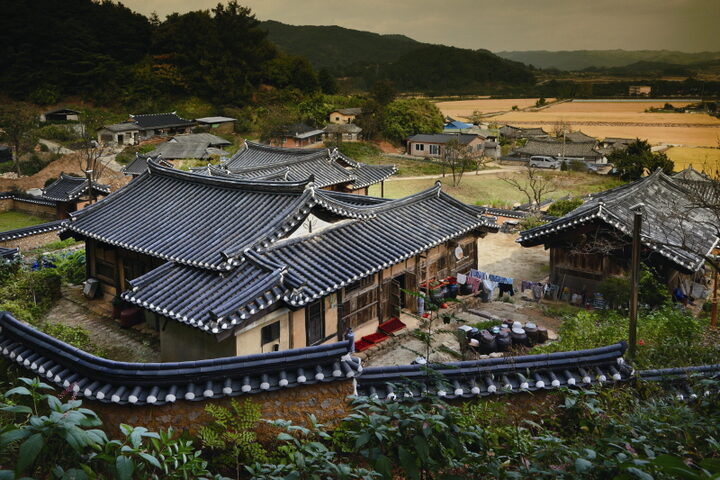 뒤에서 본 전경