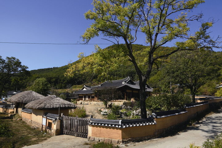 전경