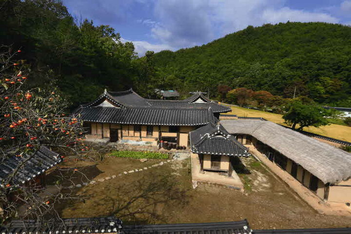 전경