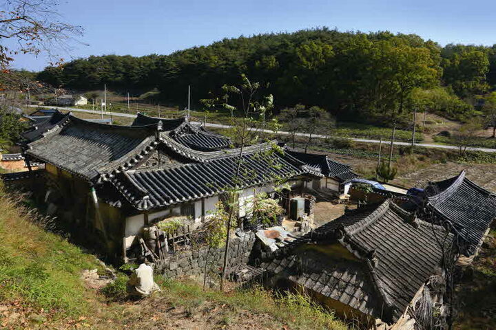 뒤편 야산에서 내려다본 풍경