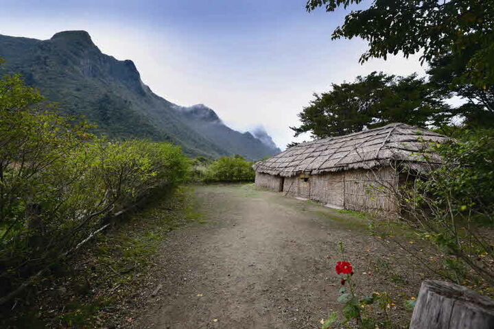 전경