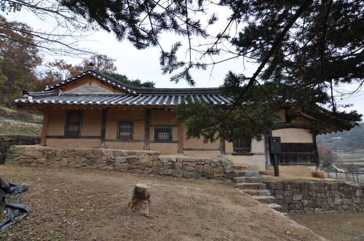 재사 좌측면