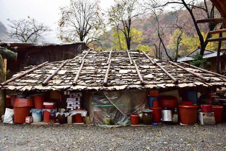 굴피집 전경 (촬영년도 : 2015년)