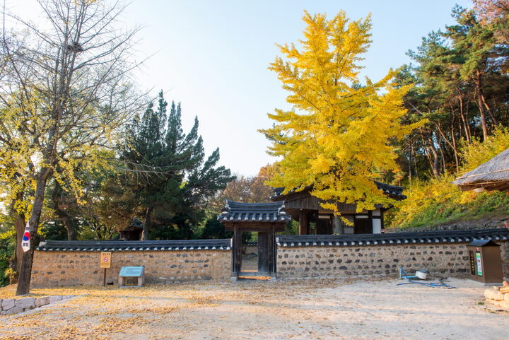 경주 양동마을 안락정_원경 (촬영년도 : 2015년)