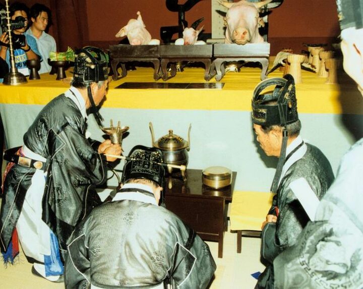 석전대제(헌작)