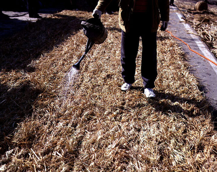 줄에물주기