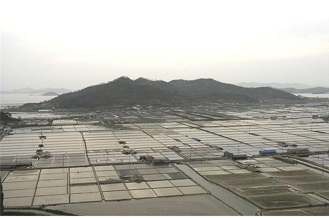 비금도 대동염전 전경(국가유산청)