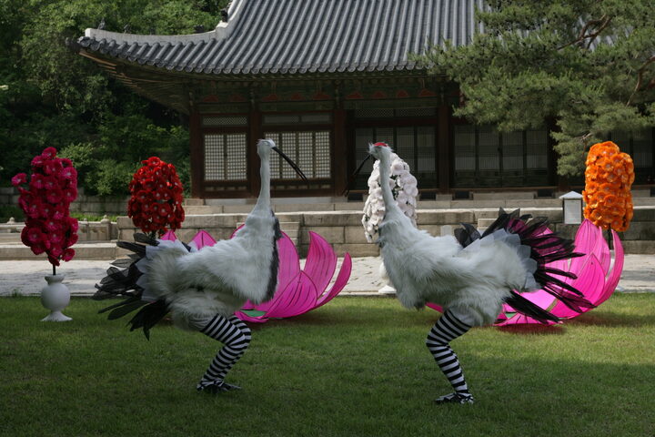 16577_상대(마주보기)_학연화대합설무_국가유산청