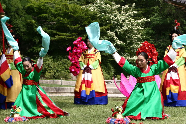 16654_앉아서 하는 동기의 무작_학연화대합설무_국가유산청