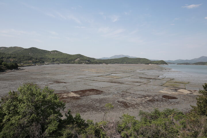 전라남도 고흥의 갯벌밭(국가유산청)