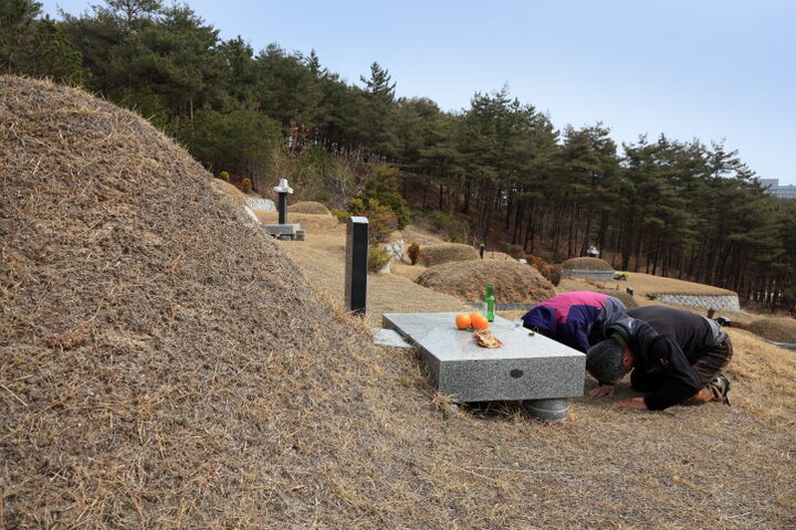 한식 성묘(사진 제공 국립민속박물관)