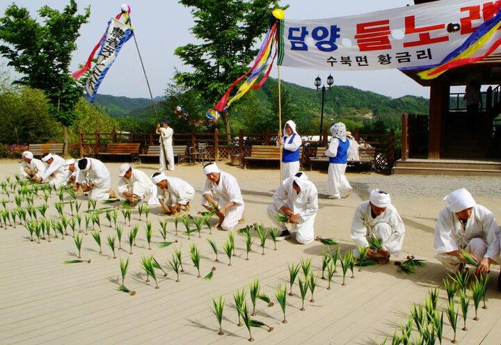 황금리 들노래 시연장면