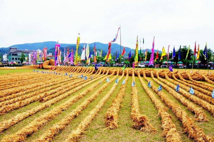 의령큰줄 사진