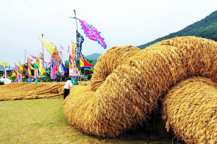 의령큰줄 사진