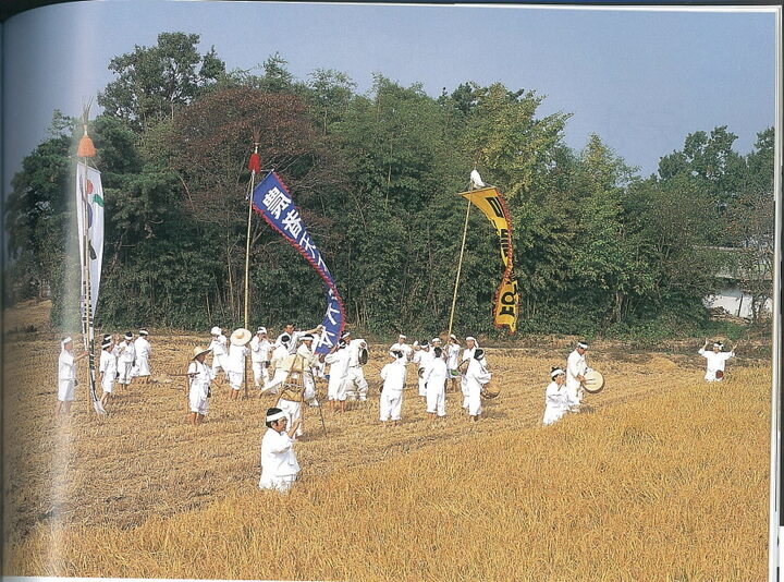 마들농요