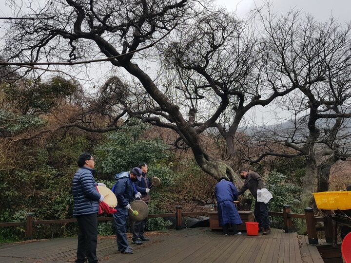 외연도 당제