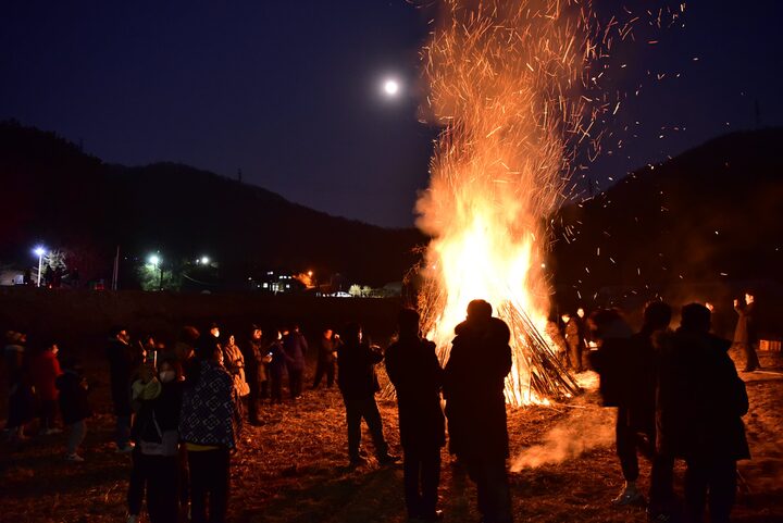 세종특별자치시