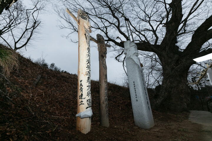 공주탄천장승제