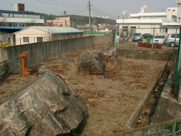 천내리지석묘군 전경
