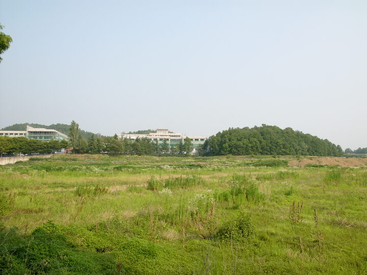봉무동고분군 전경