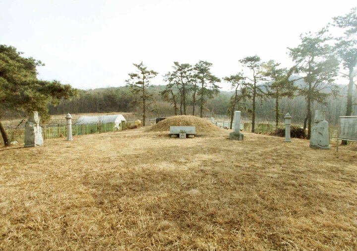 조정만묘전경