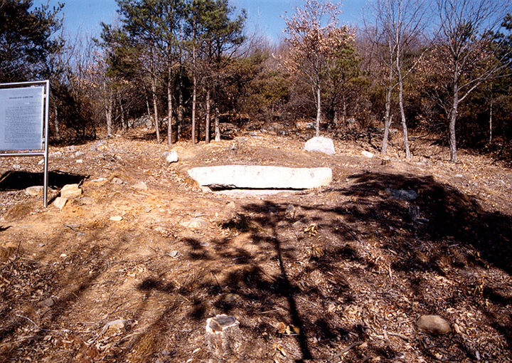 강화능내리석실분