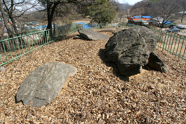검단대곡리지석묘전경