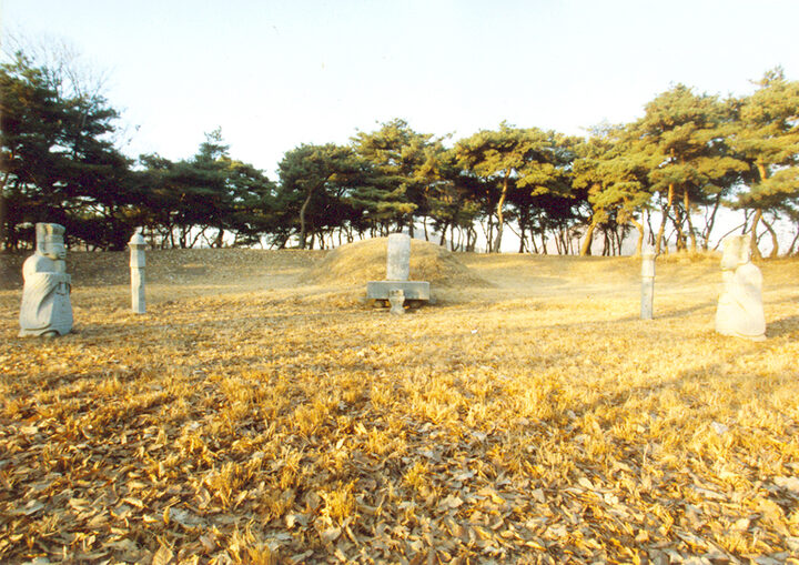 이여발묘전경