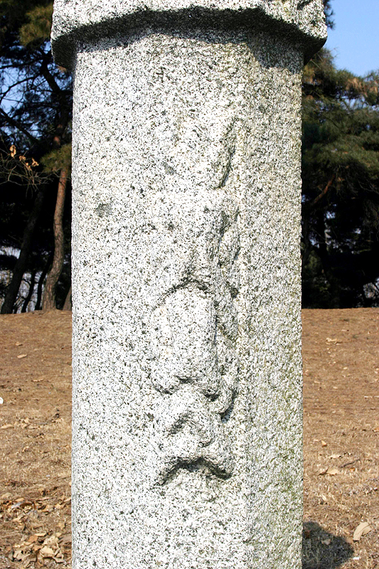 우측망주석