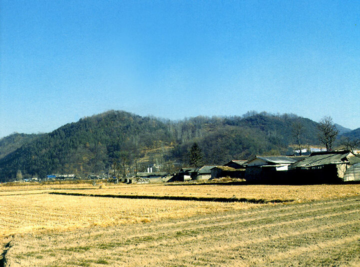 사정성