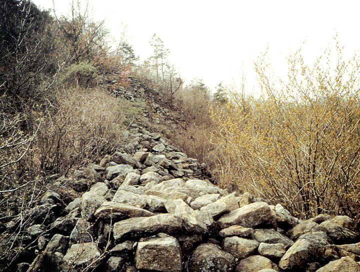 삼정동산성