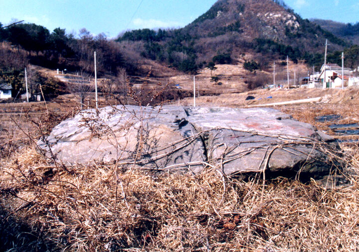 비래동고인돌(1)
