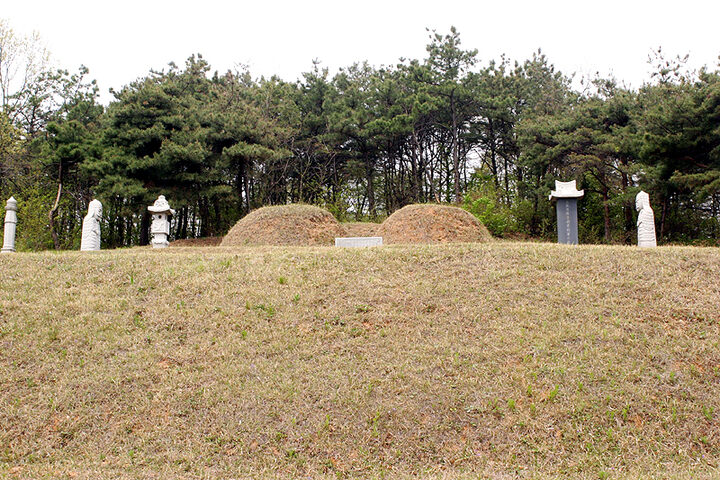 이덕남장군묘