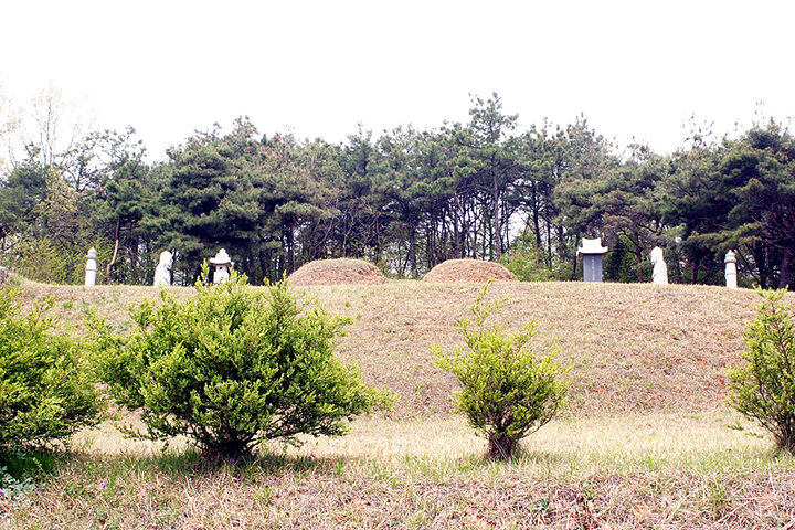 이덕남장군묘