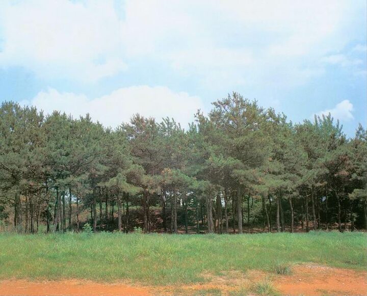 농성