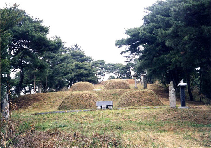 이자묘역(전경)