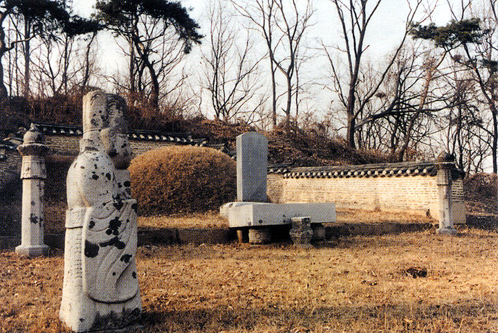 김육묘